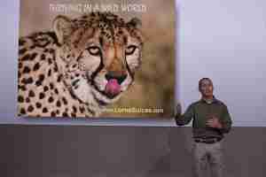 Lorne Sulcas Wildlife Leadership Change Speaker