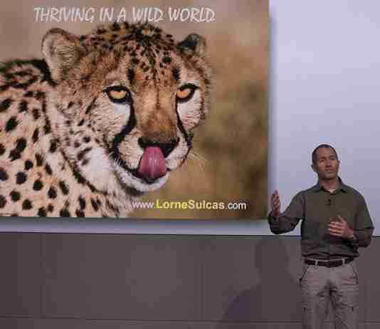 Lorne Sulcas - Wildlife Leadership Change Speaker